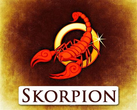 tarot skorpion heute|Entdecken Sie das Tarot Horoskop Skorpion heute